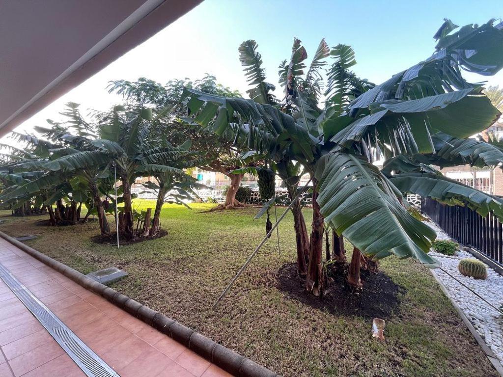 Seaview Apartment Los Cactus Playa del Inglés Eksteriør bilde